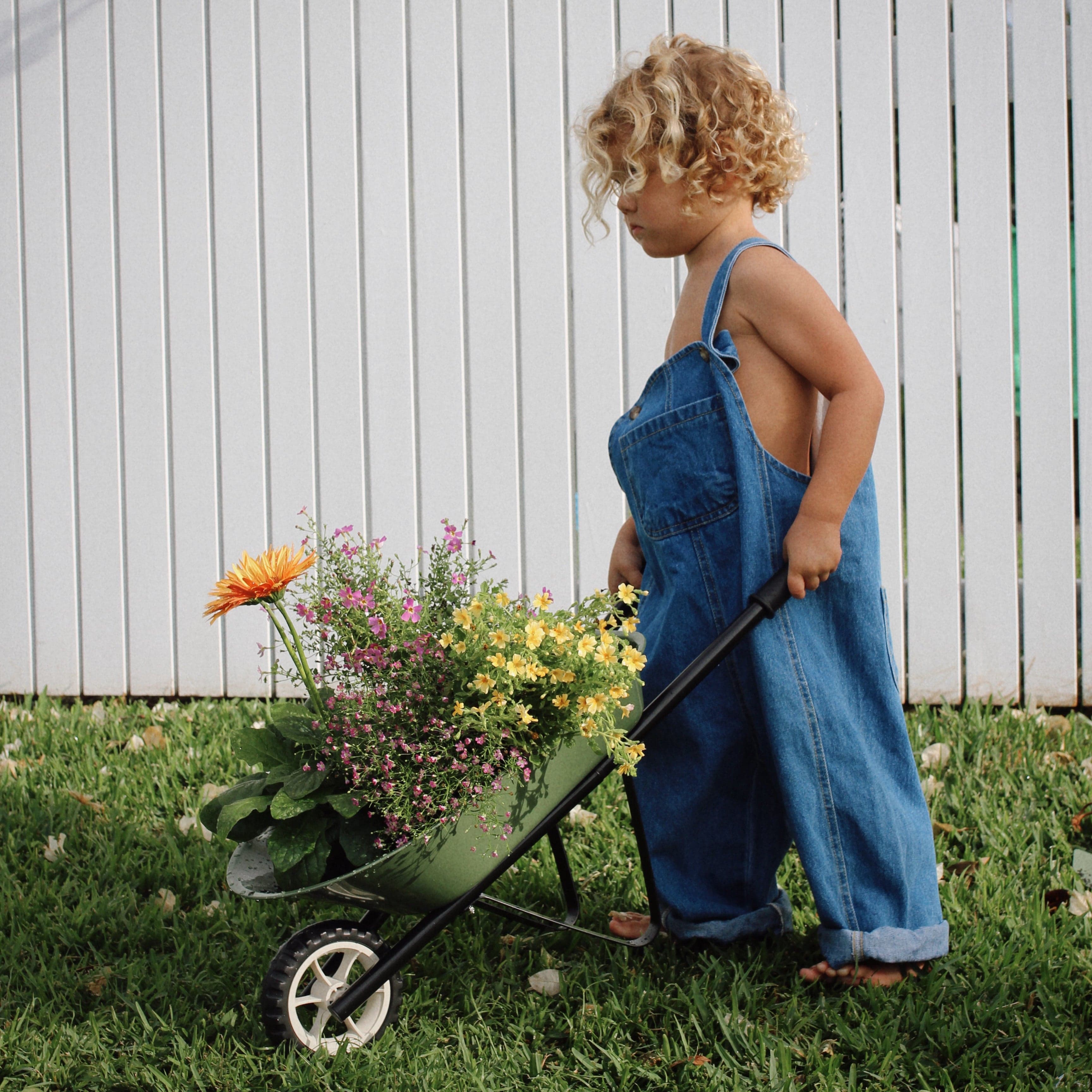 Kids Steel Toy Wheelbarrow